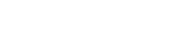 Vylit